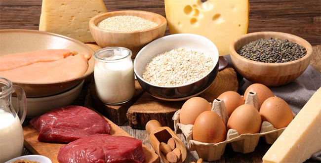 Apa yang dimaksud dengan protein?